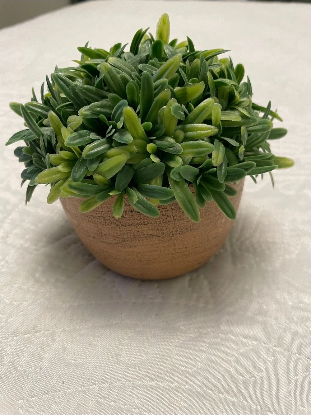 Artificial Small Potted Plant Greenery in Ceramic Round Pot